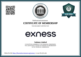 Maximizing Your Trading Potential with Exness App 6